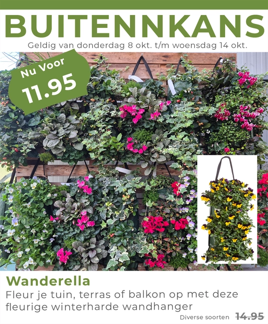 Weekaanbieding