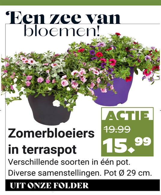 Weekaanbieding