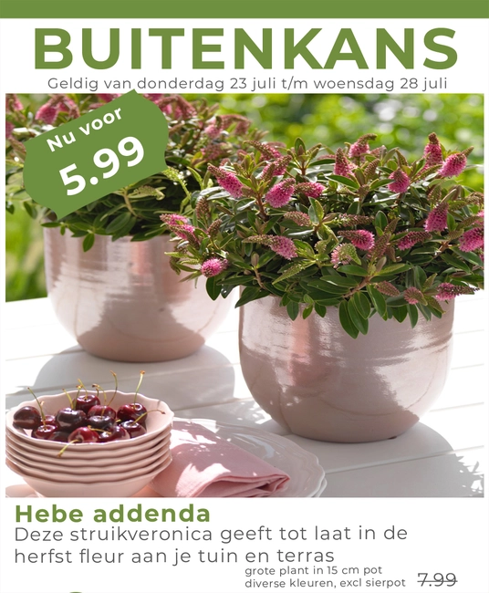 Weekaanbieding