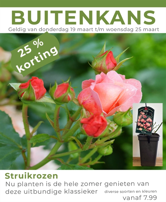 Weekaanbieding