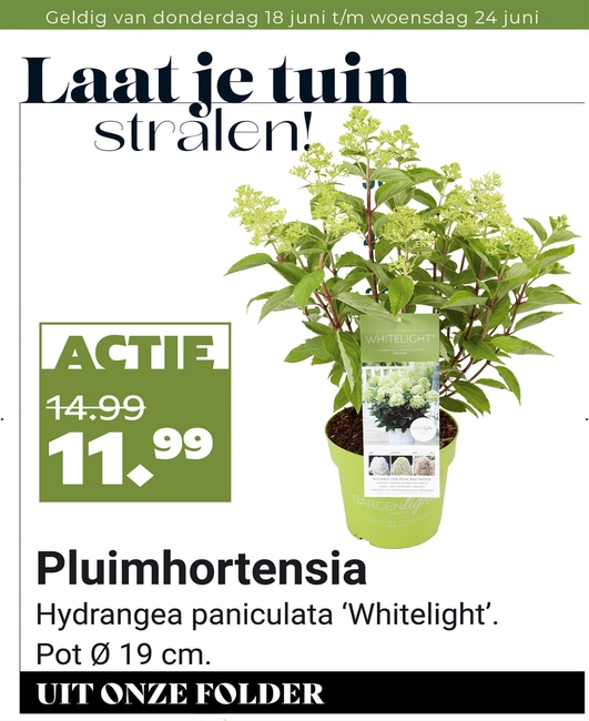 Weekaanbieding