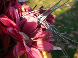 Foam- en zijdebloemen | Tuincentrum De Schouw in Houten