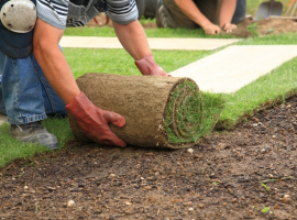 Aanleg gazon | Tuincentrum De Schouw