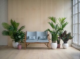 Kamerplanten kopen | Tuincentrum De Schouw