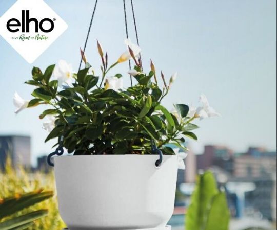 Tuincentrum De Schouw | Houten | Elho | Bloempotten