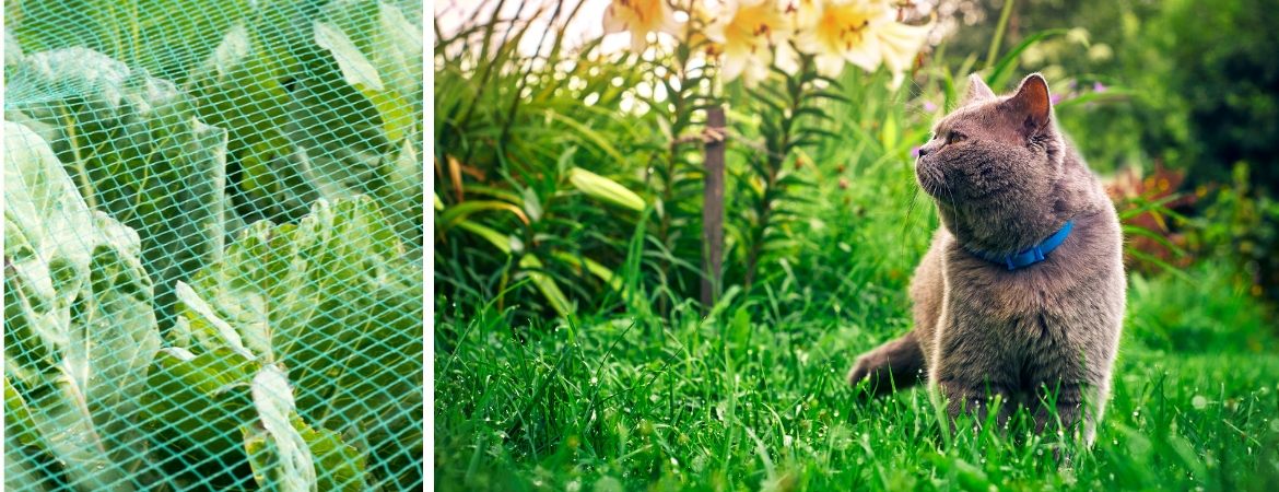 Producten voor gewasbescherming kunt u kopen bij Tuincentrum De Schouw