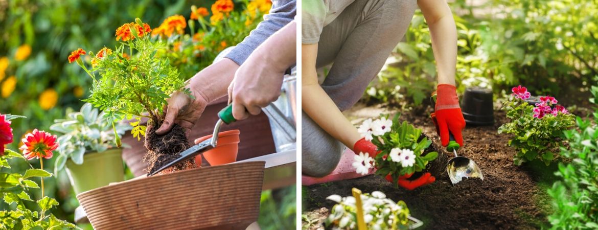 Handgereedschap | Tuincentrum De Schouw | Houten