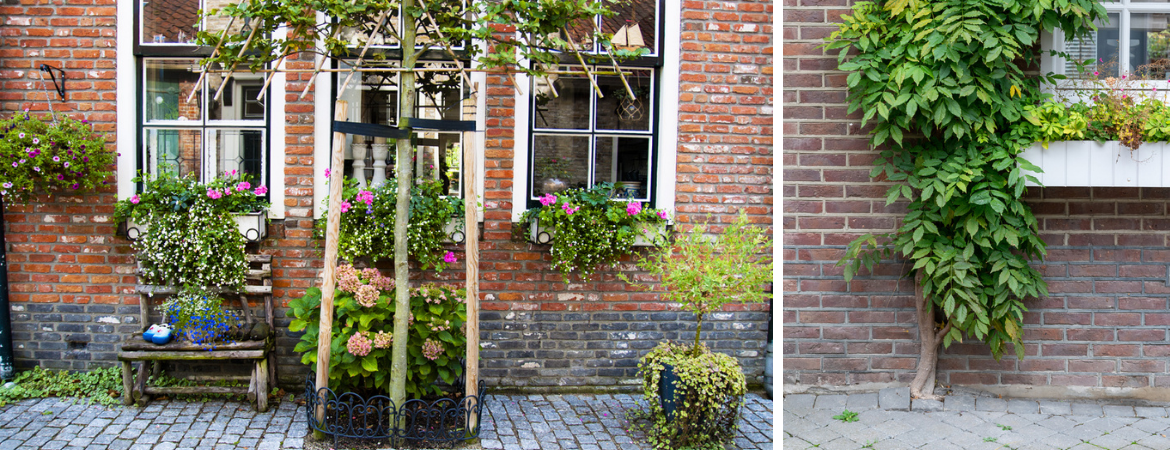 Tuincentrum De Schouw | Natuurlijk Tuinieren | Duurzaam