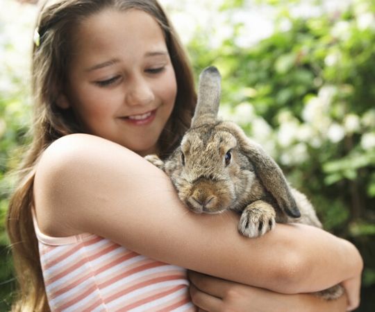 Dierenwinkel | Konijnen | Tuincentrum De Schouw | Houten