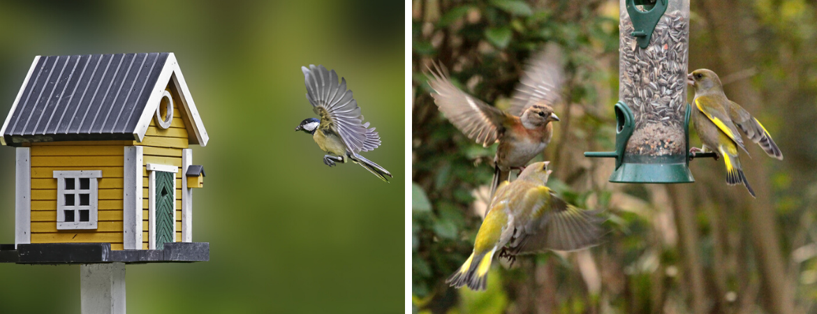 Alle benodigdheden voor vogels in de tuin bij De Schouw in Houten